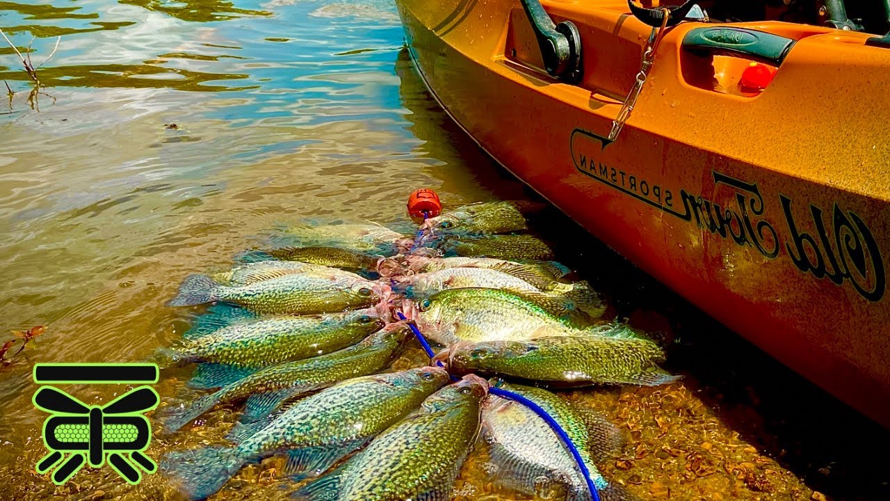 BEST way to find CREEKS for CRAPPIE  Fall/Winter 2022/2023‼️