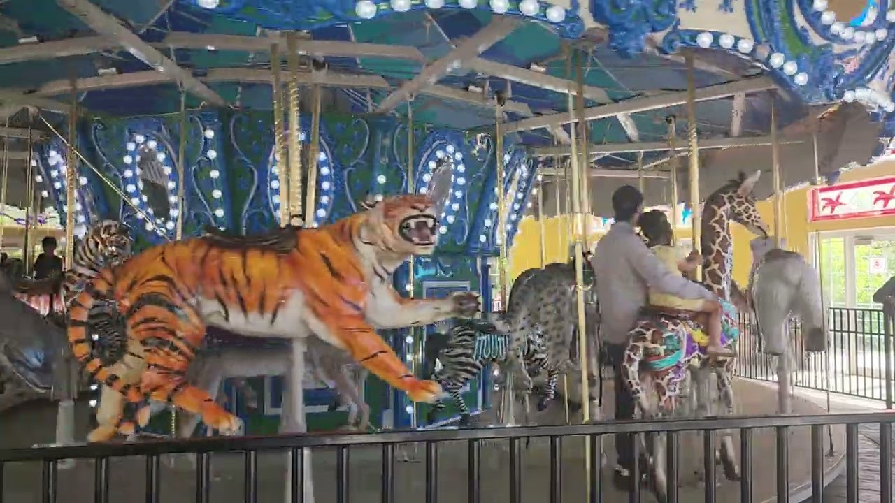 The Marry-Go Round at Turtle Back Zoo