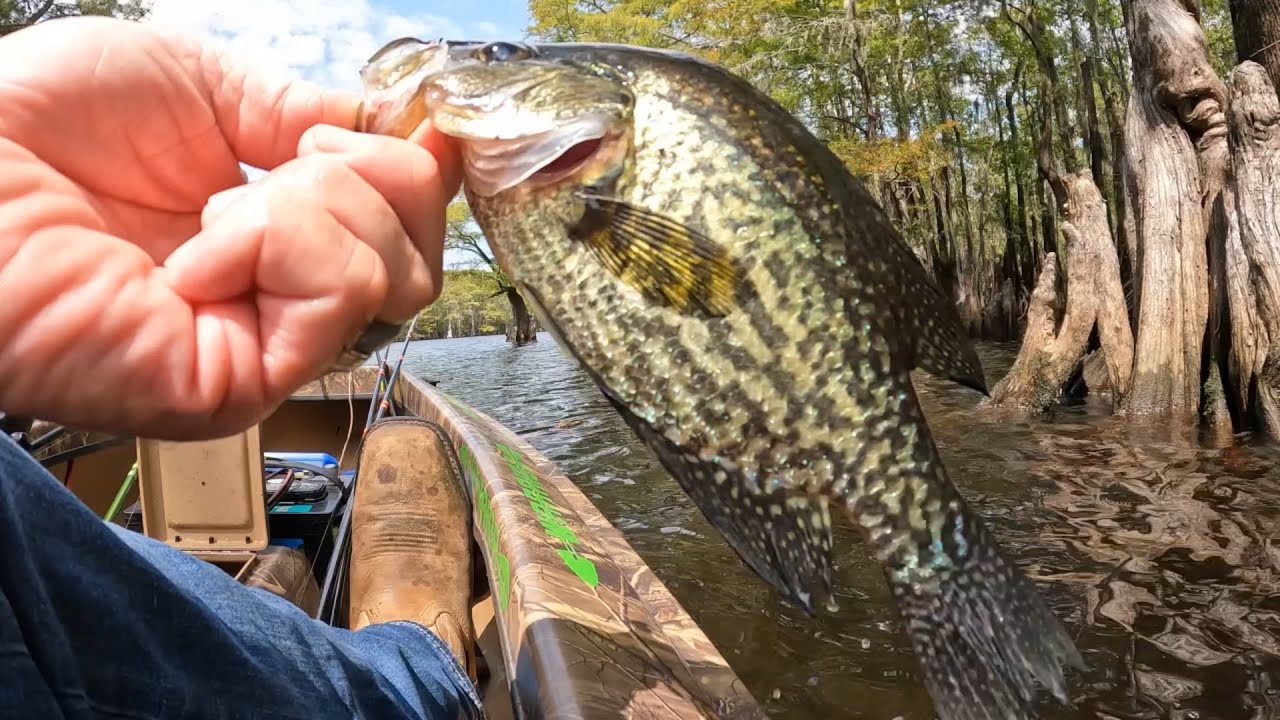 Catching crappie out the warrior one man boat single pole jigging