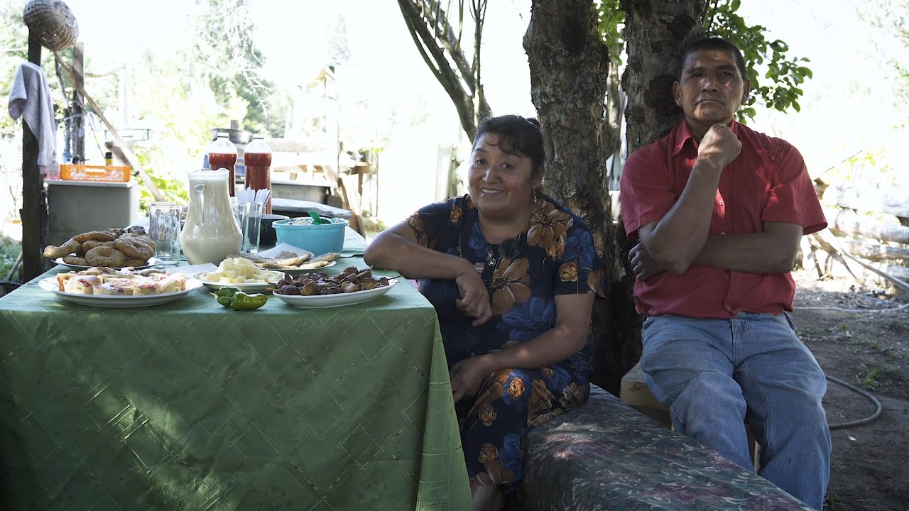Huerta tradicional Melipeuco | #biodiversidad #huerta