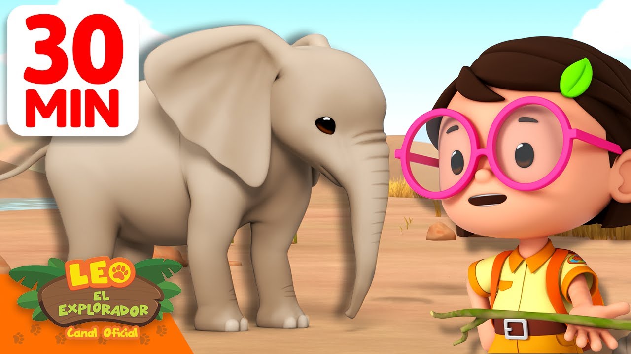¡El elefante está explorando la sabana! | 30 Min | Leo, El Explorador | Animación