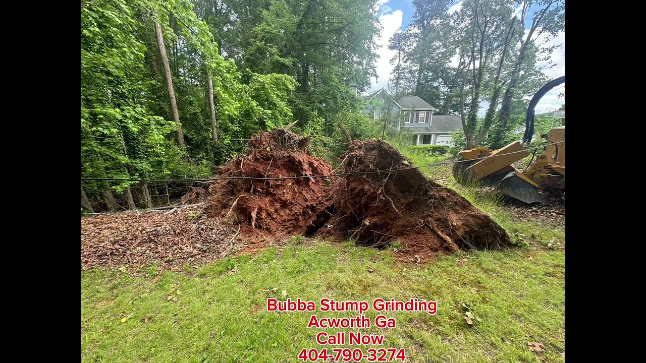 Bubba Stump Grinding Acworth Ga