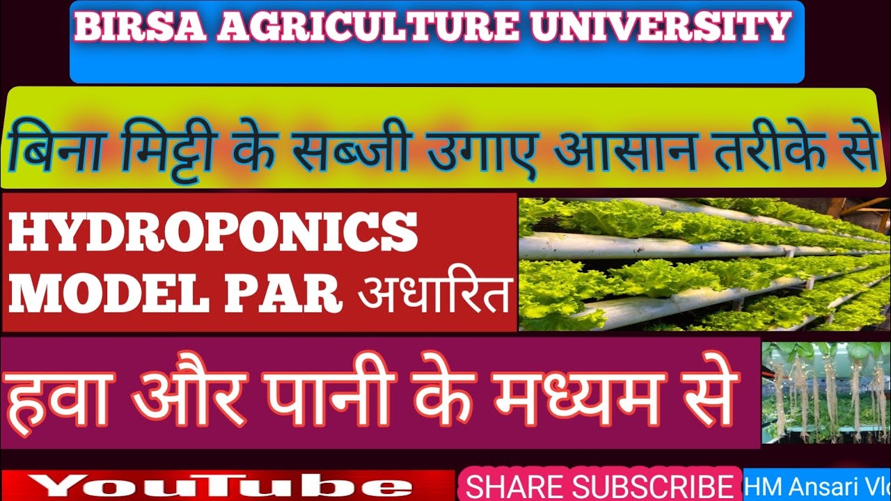 बिना मिट्टी के 🍒🍒सब्जी उगाए आसान तरीके से/Hydroponic Model पर आधारित /By HM Ansari 