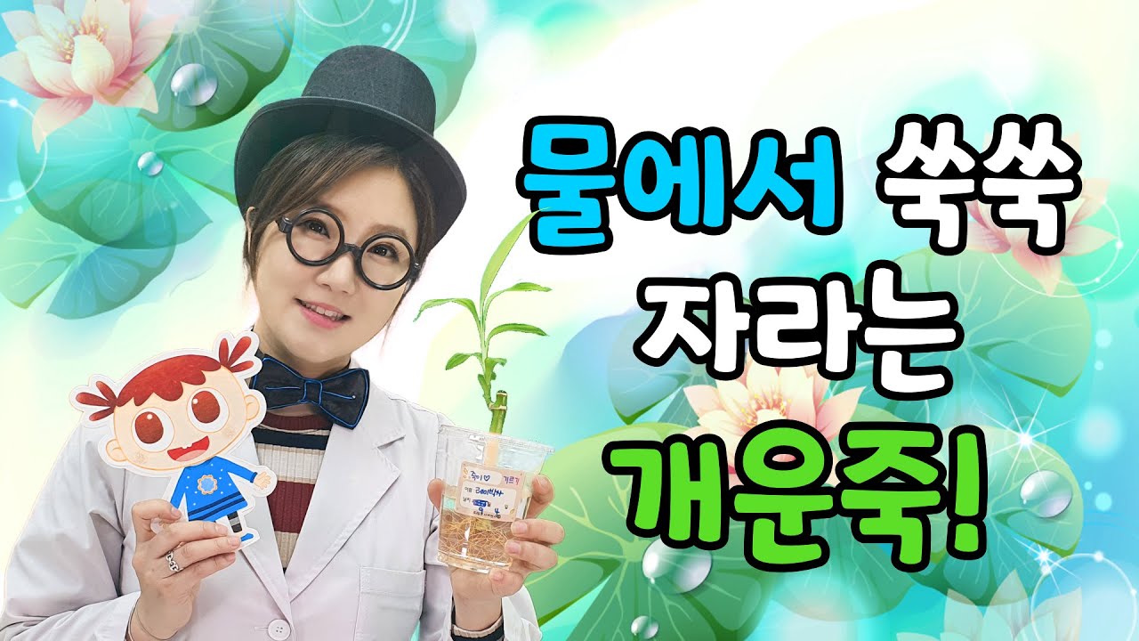 프랭크사이언스2.0 8호 1단계 가정활동영상물에서 쑥쑥 자라는 개운죽!