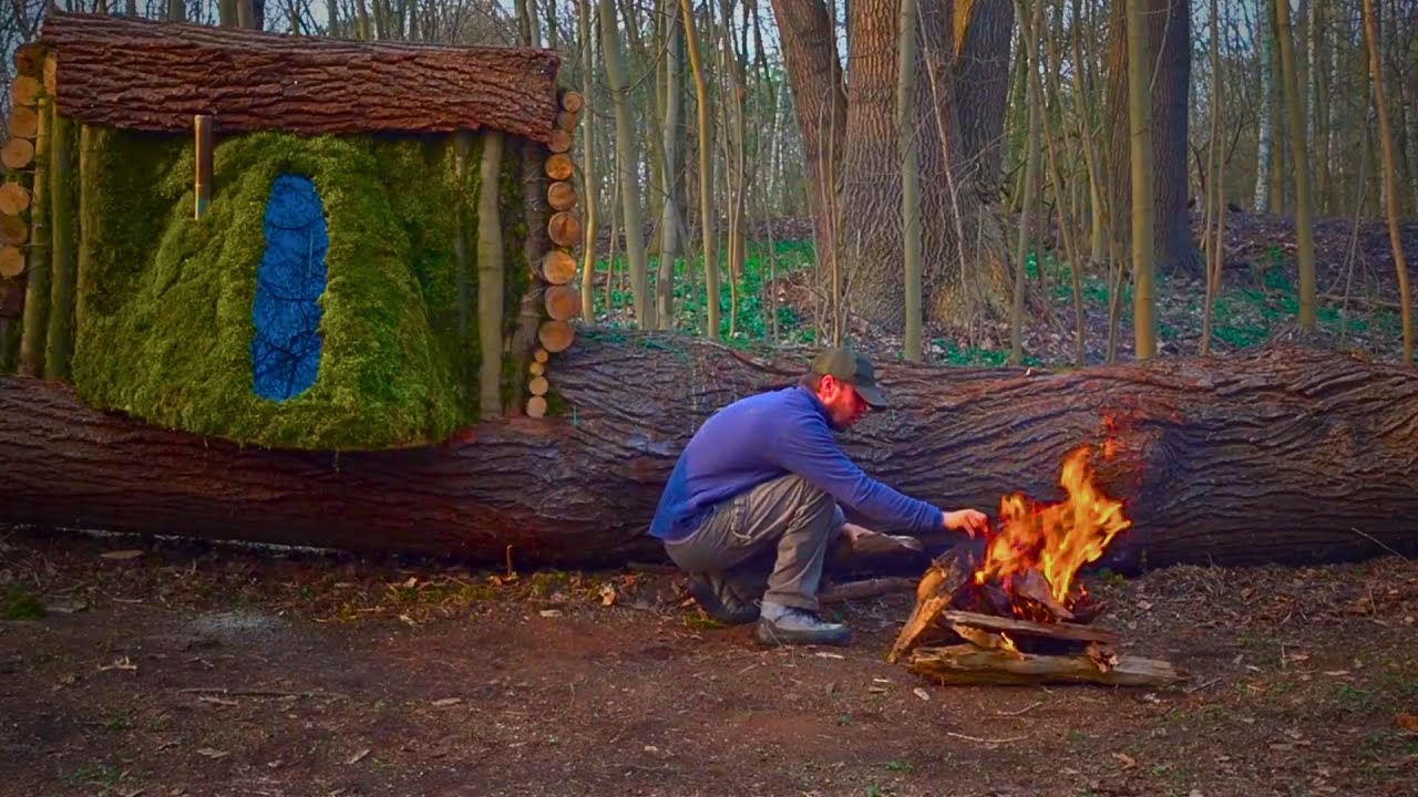 Building a cozy shelter in a tree hollow. Bushcraft