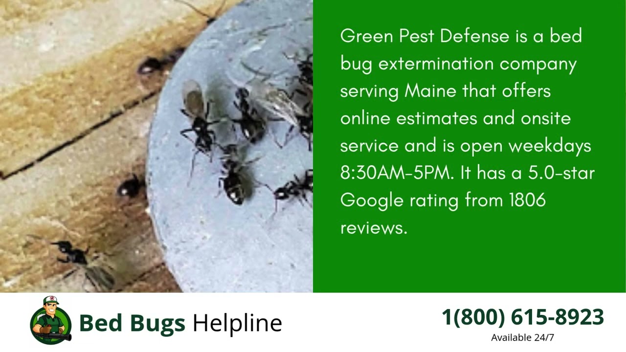 Top 3 Bed Bug Removal in Maine