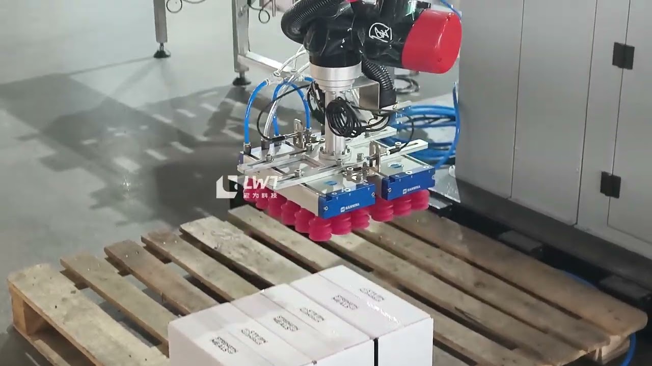 Collaborative Robot Palletizer (144×204 Carton)