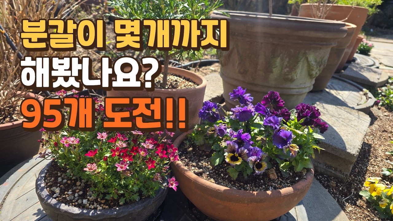 분갈이 몇 개까지 해봤나요? 저는 95개 했습니다ㅣ분갈이 지옥