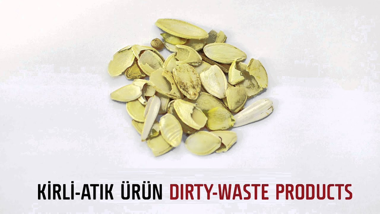 Pumpkin Seed Processing Plant - AKY Technology