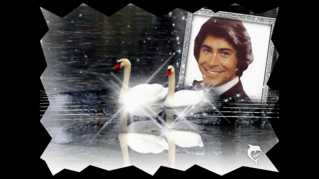 ROY Black - Leise rieselt der Schnee