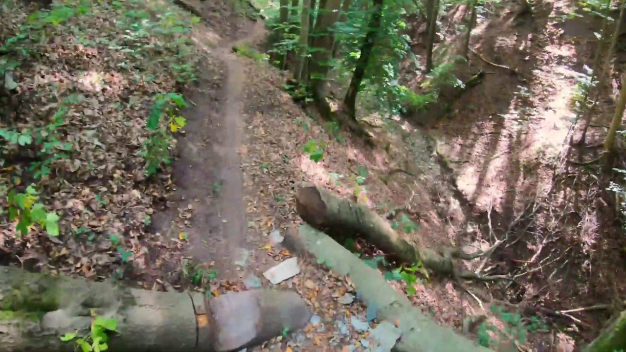 Mountainbike Flowtrail Steigerwald Boehlgrund 22 09 2019