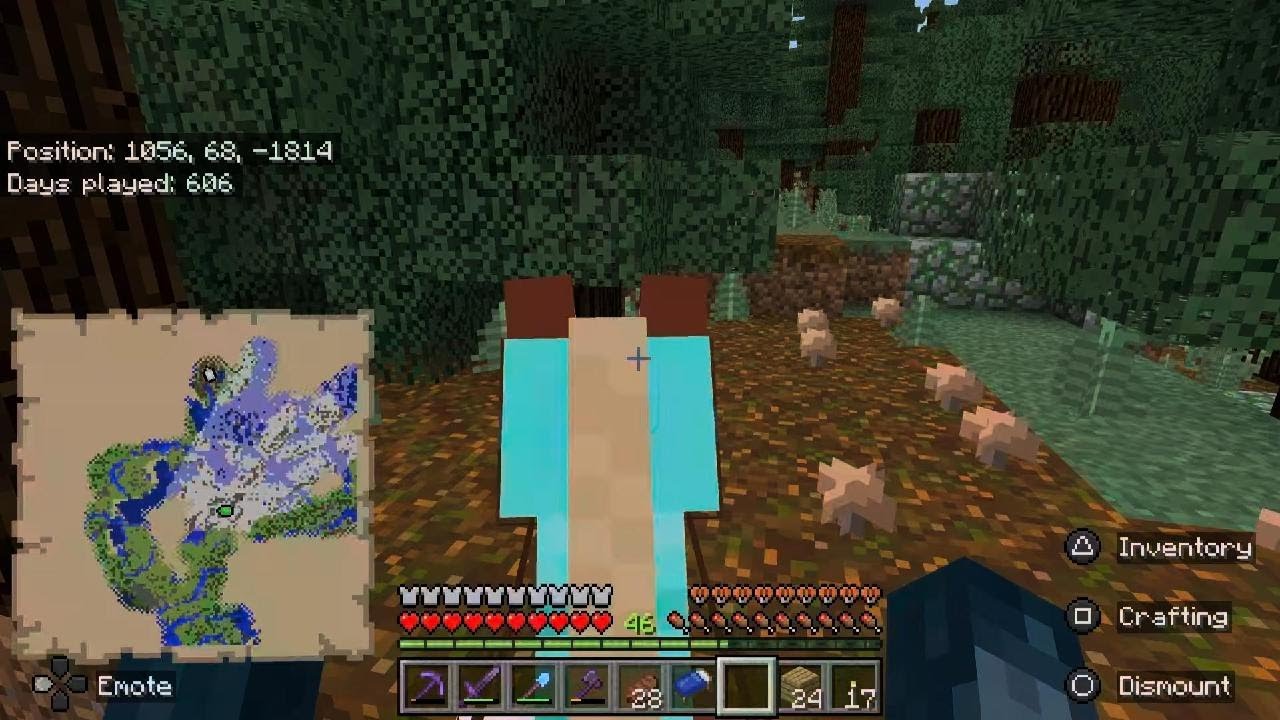 Minecraft 255