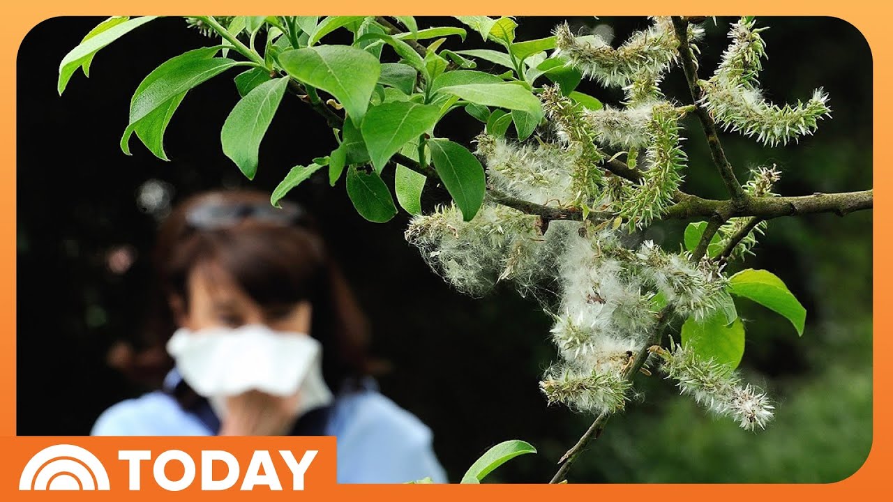 Early Start to Allergy Season: How to Relieve Symptoms Effectively