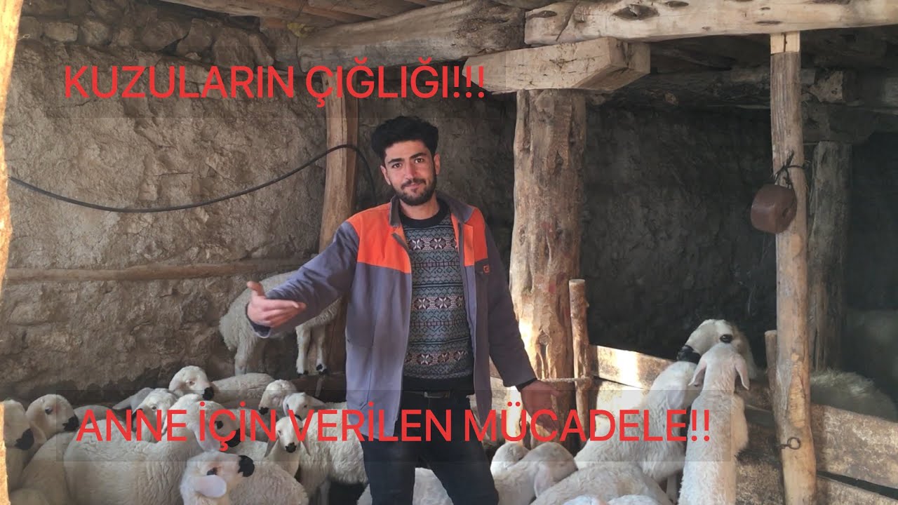 KÖYDE YAŞAMAK İÇİN BİR SEBEBE İHTİCINIZ VARSA!!! VLOG7 #youtube#işfikirleri#