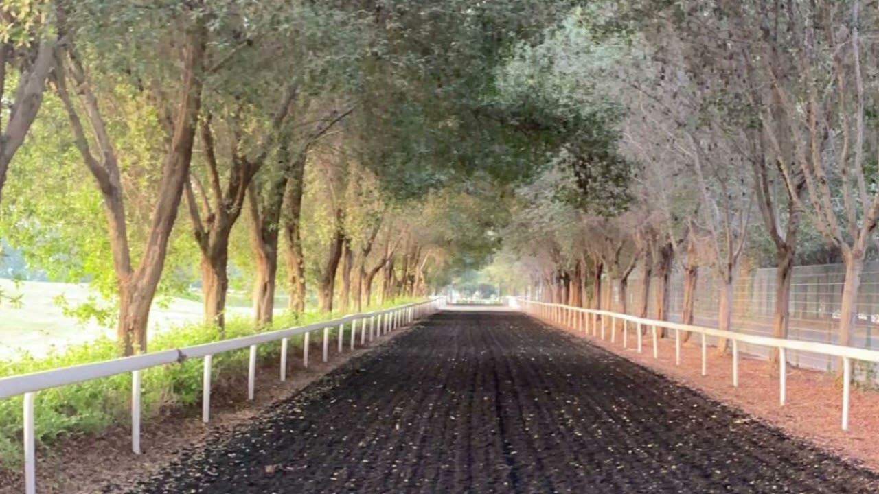 اصيل ابوبكر - ياذا الحبيب