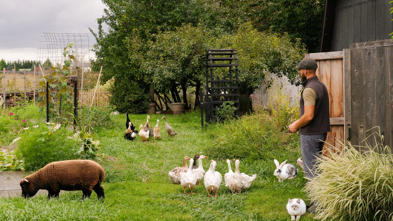 Nasze spokojne życie na wsi | Sadzenie, projekty rolnicze i powolne życie