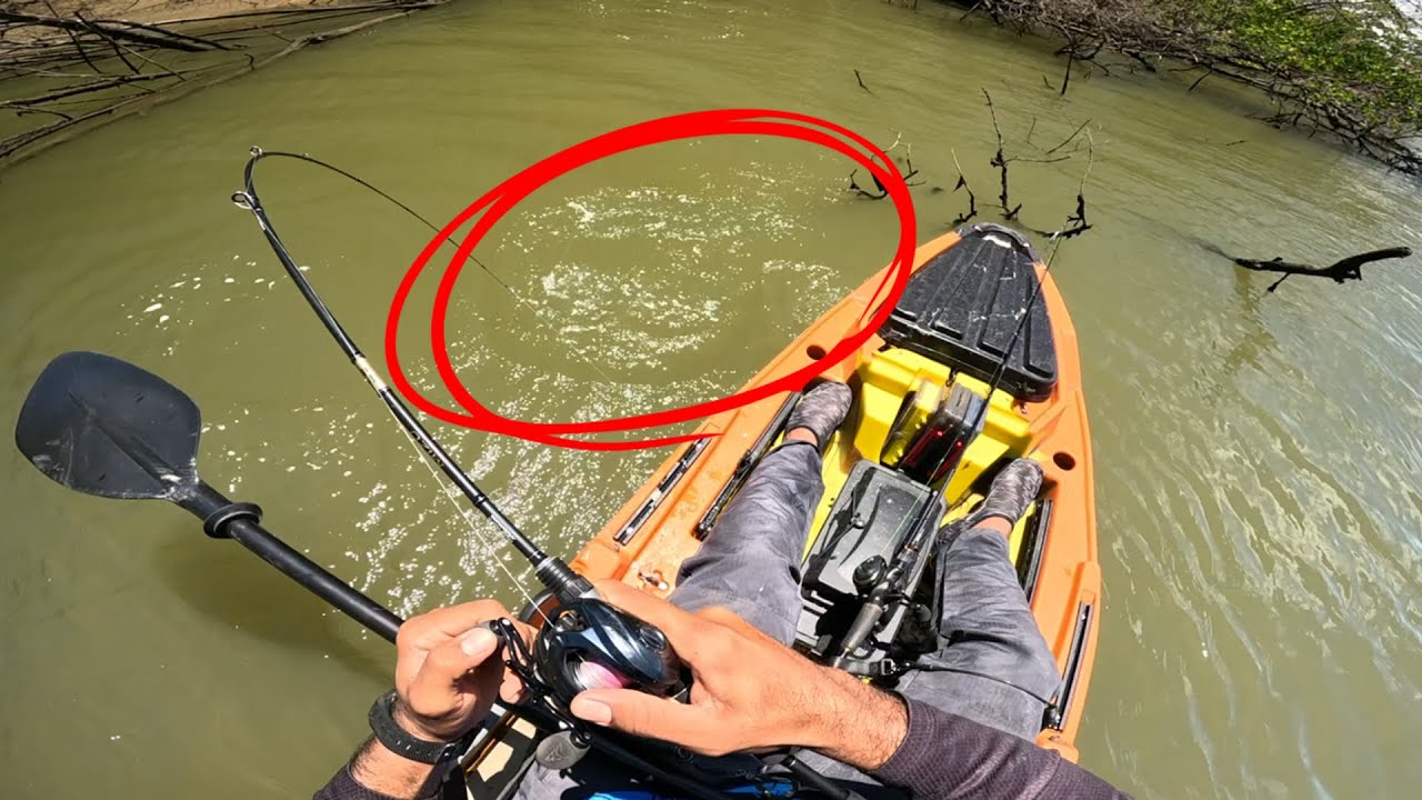 Nunca Mais Subestimo Um Robalo! O Final Dessa História? Frito com Tapioca!