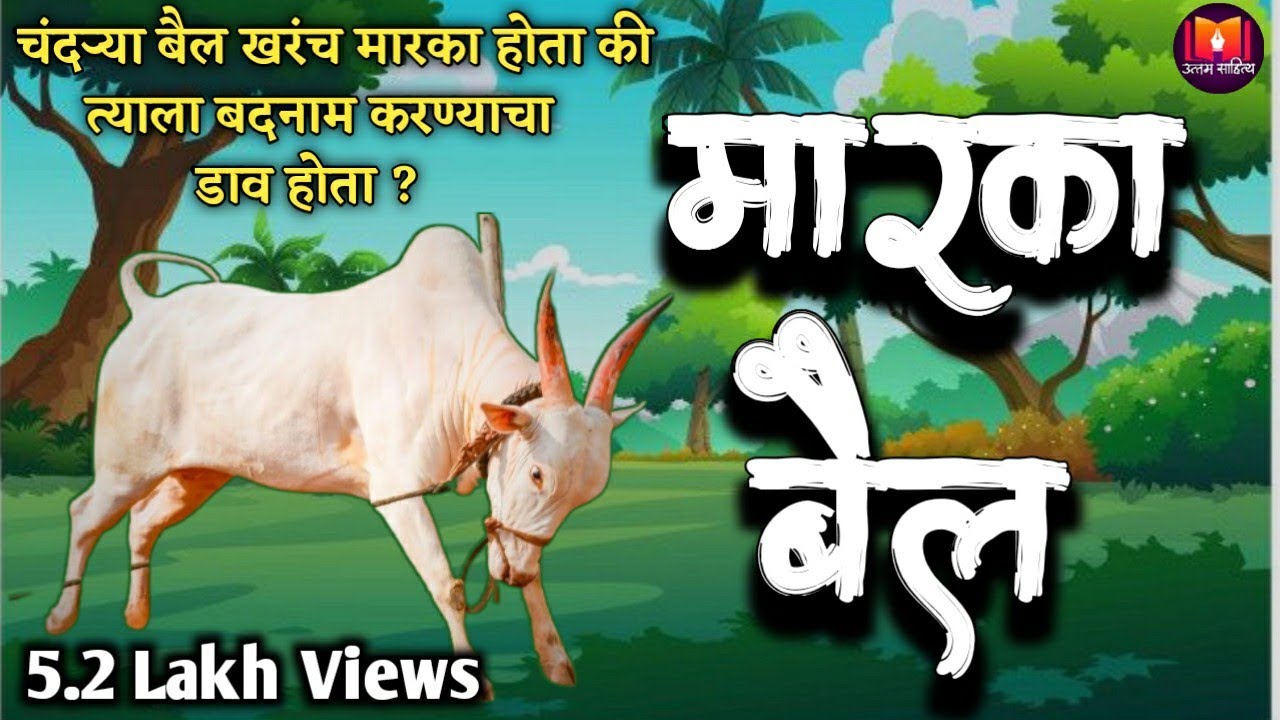 मारका बैल || चंदऱ्या बैलाची डोळ्यात पाणी आणणारी कहाणी ||The story of Chndarya
