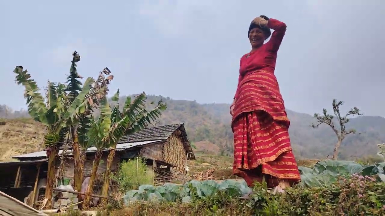 सिउडिबोट पसुपन्छि तथा कृषि फर्म तिनपाटन ८ 