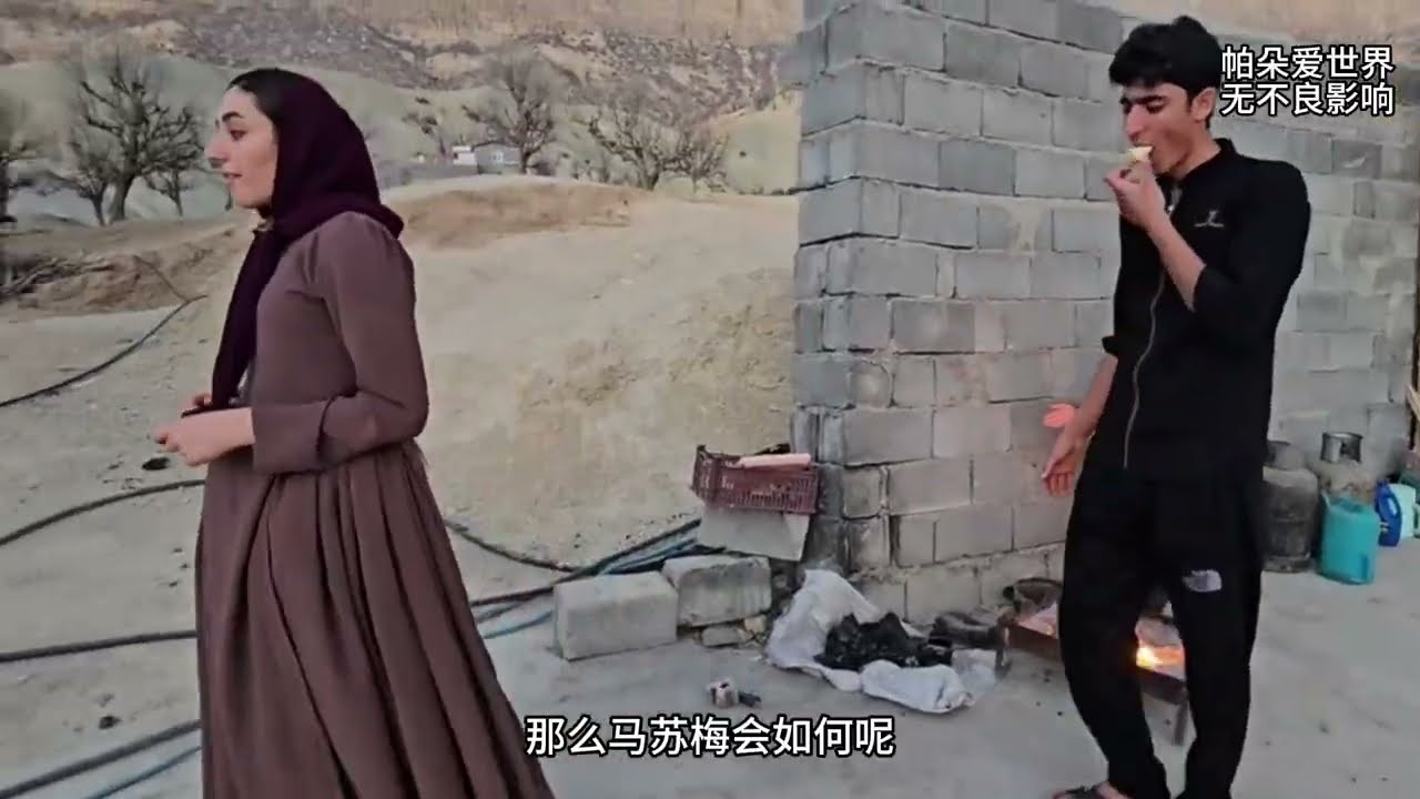 阿尔斯兰给村长面子，阿里的计谋没得逞 #纪录片解说 #伊朗游牧生活 #萨利赫