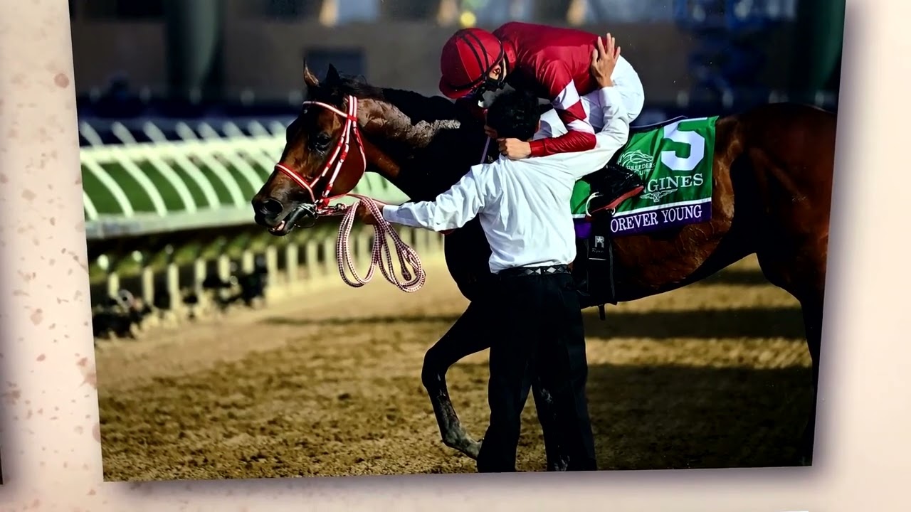 フォーエバーヤング ブリーダーズカップクラシック優勝記念展示 東京競馬場 2026/02/07