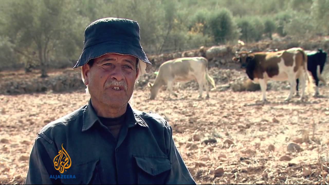 Israeli encroachment continues threatening Palestinian farms