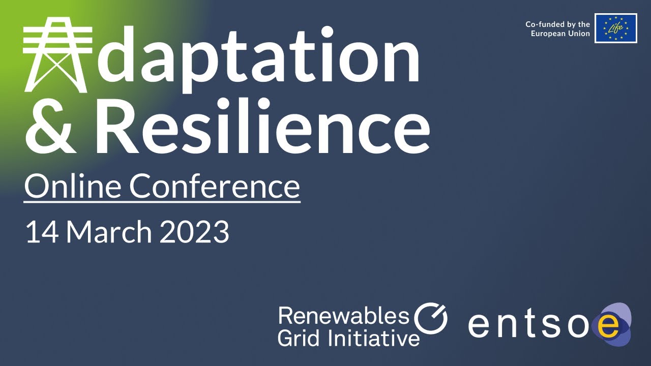 'Adaptation and Resilience' RGI-ENTSO-E Joint Online Conference