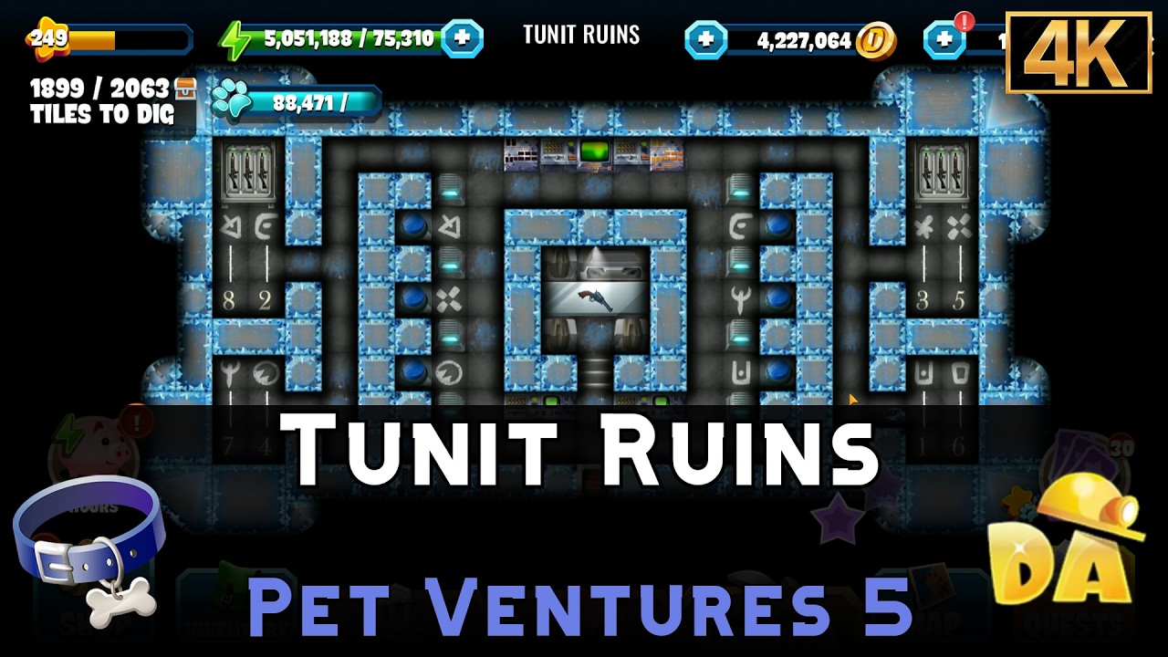 Tunit Ruins | Pet Ventures 5 | Diggy's Adventure
