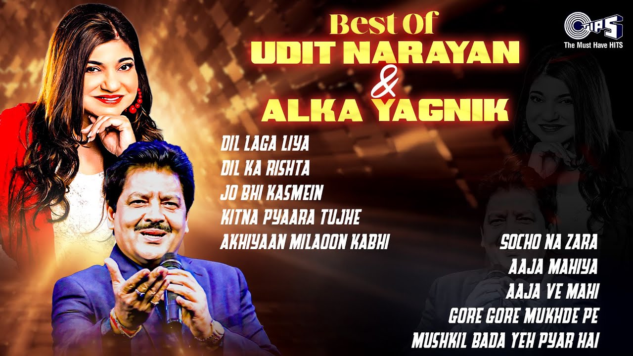 Udit Narayan & Alka Yagnik | Audio Jukebox | Bollywood Hindi Romantic Songs | 90's Evergreen Songs