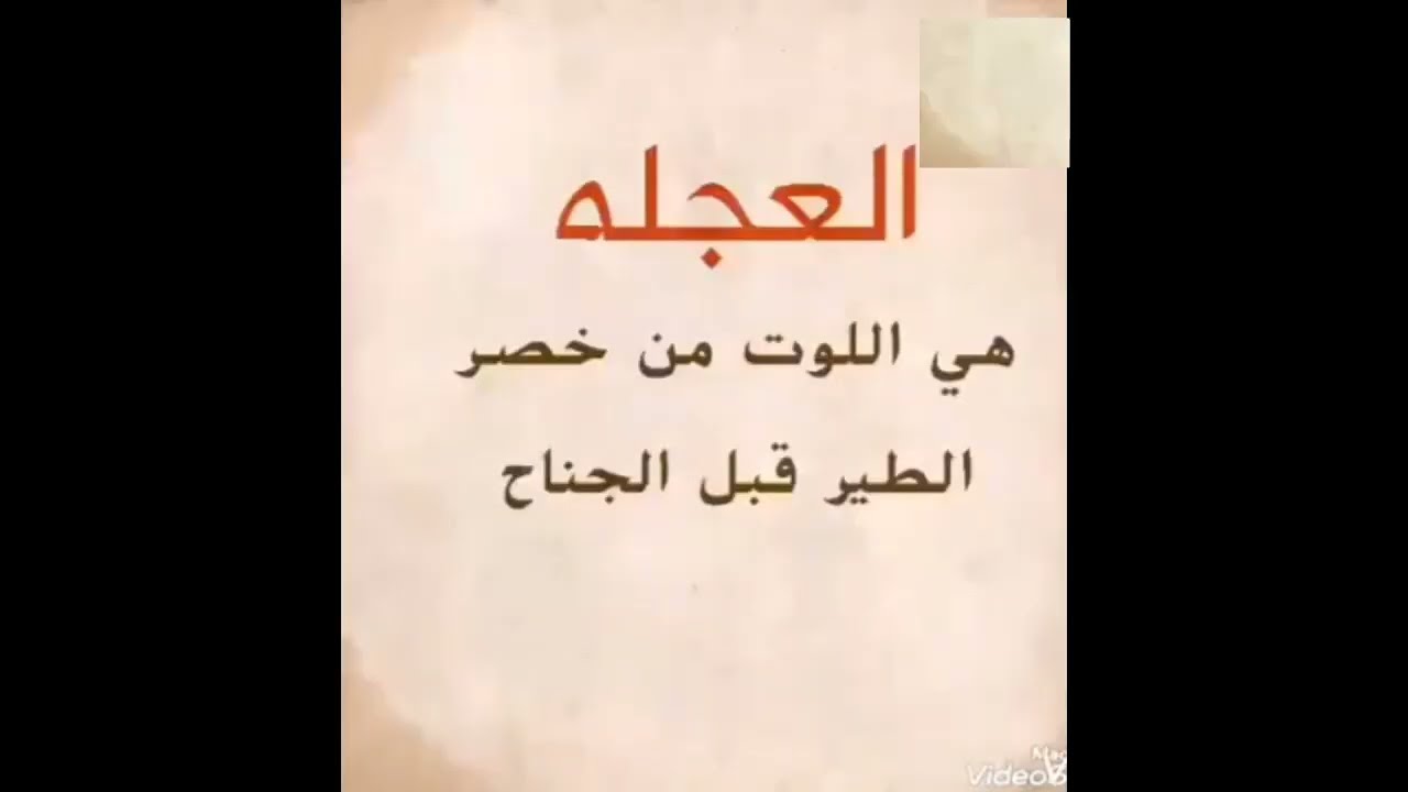 مسميات اخطاء الحمام اللوت