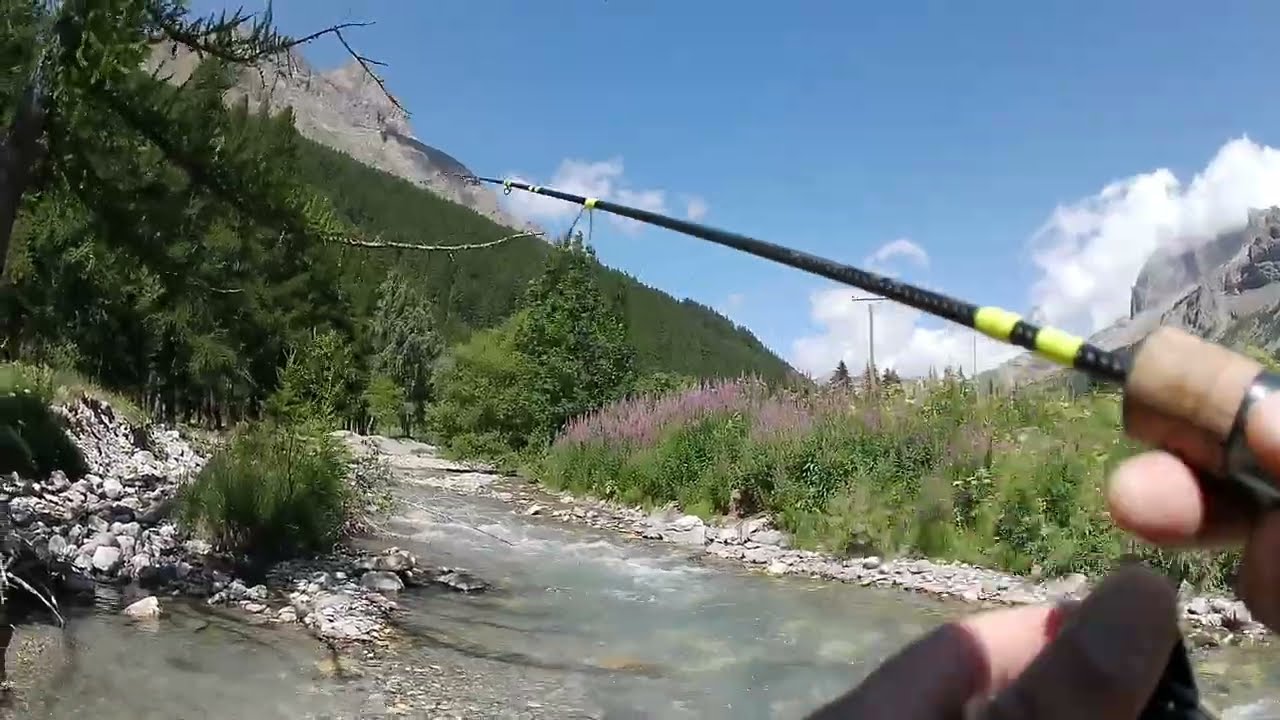 Pêche de truites farios en torrent de montagne aux leurres - Hautes Alpes 2025