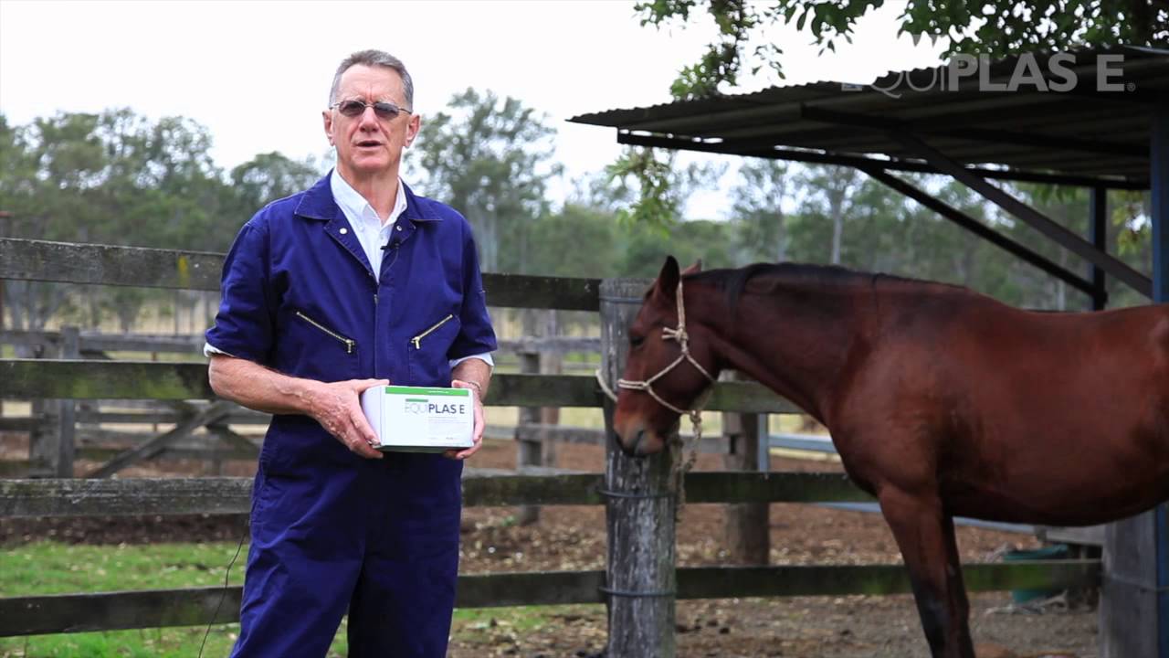 Equiplas E - 'Introducing Equiplas E' (Australia)