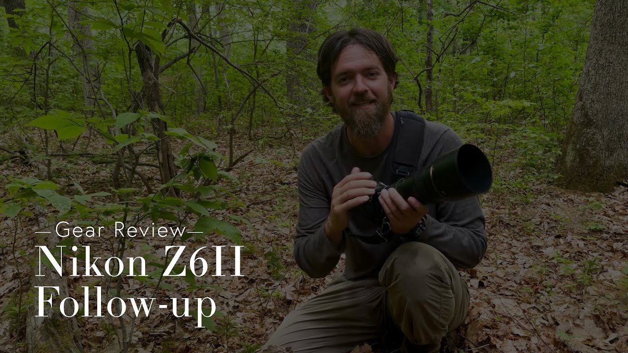 Nikon Z6II for Wildlife Photography Follow-up Thoughts