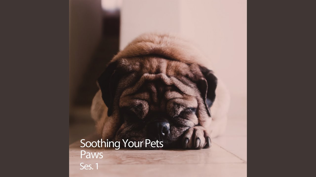 Gentle Sound for Pets