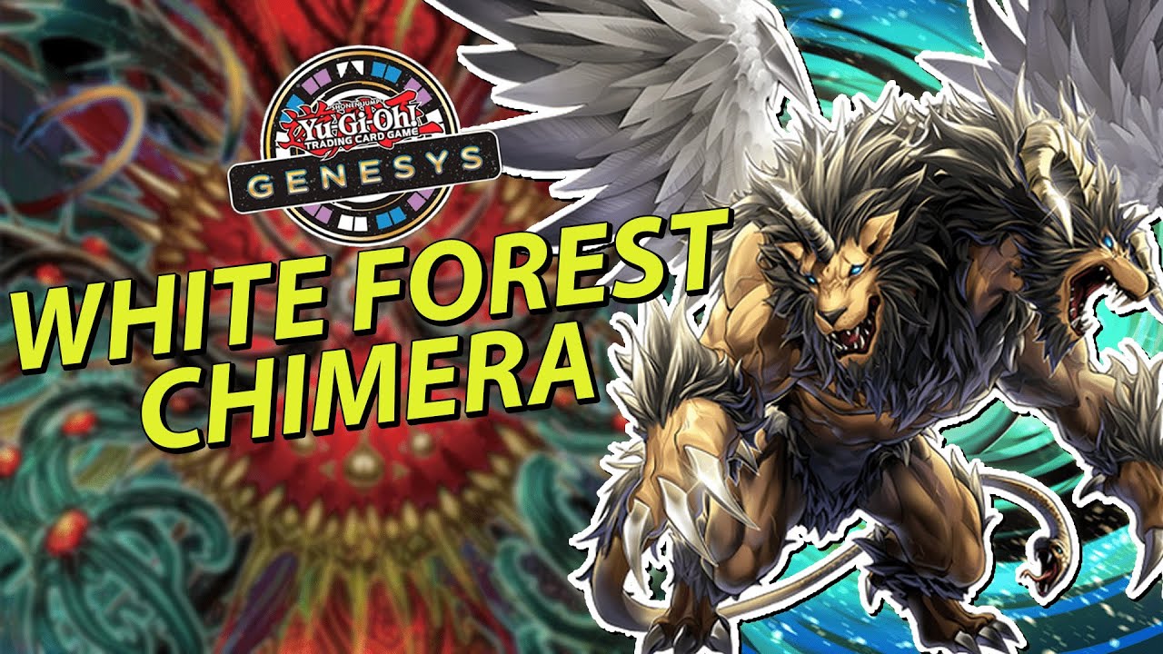 Профиль колоды «Химера Белый лес Азамины» + комбо | Yu-Gi-Oh! Genesys #розыгрыш