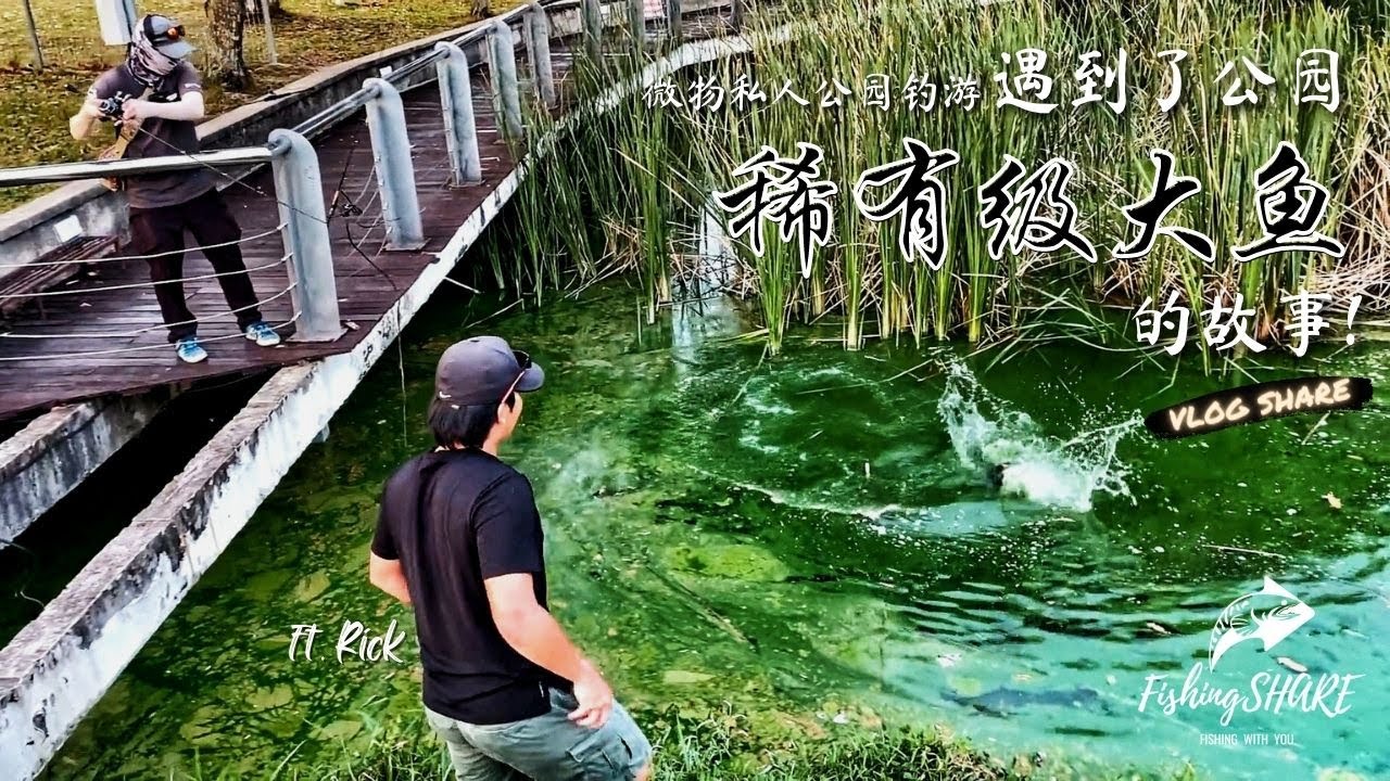 【FishingShare】微物私人公园钓游，遇到了公园稀有级大鱼的故事！ULTRALIGHT FISHING IN Private Park Encounter a RARE TROPHY FISH