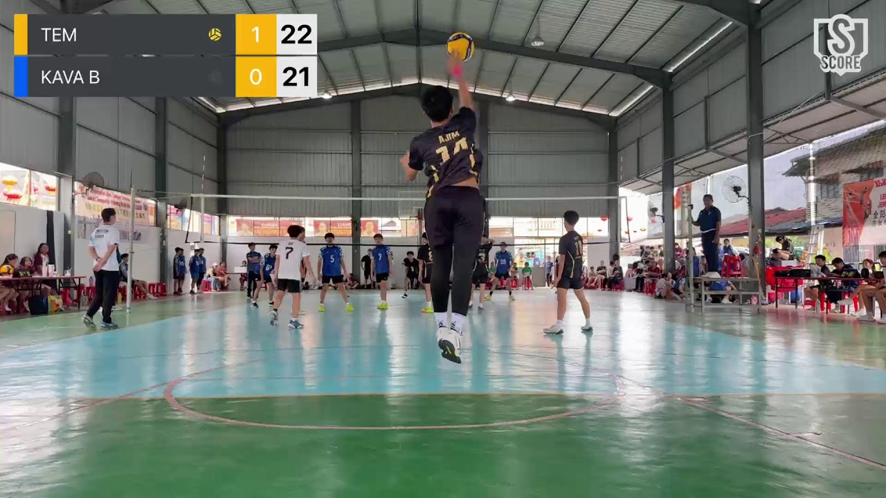 TEM VS KAVA B