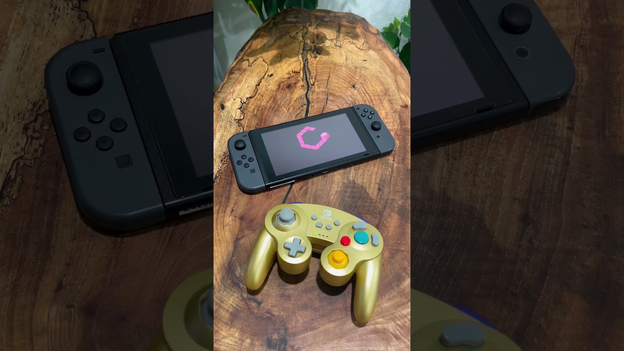 Nintendo GameCube Switch 😳