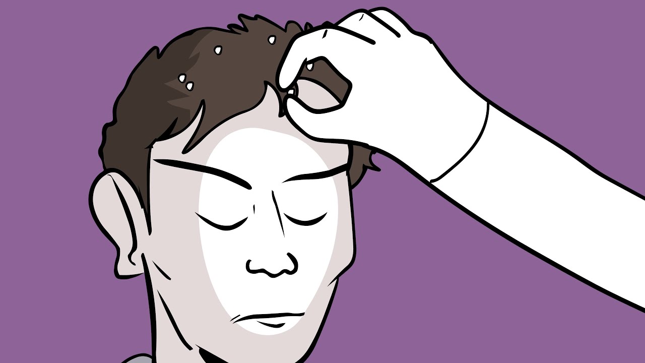 take it out (animated asmr)