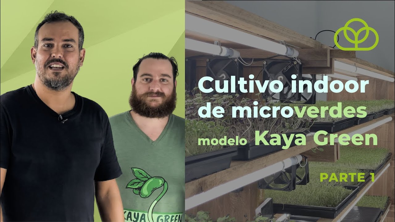 Cultivo indoor de microverdes - modelo Kaya Green - Parte 1