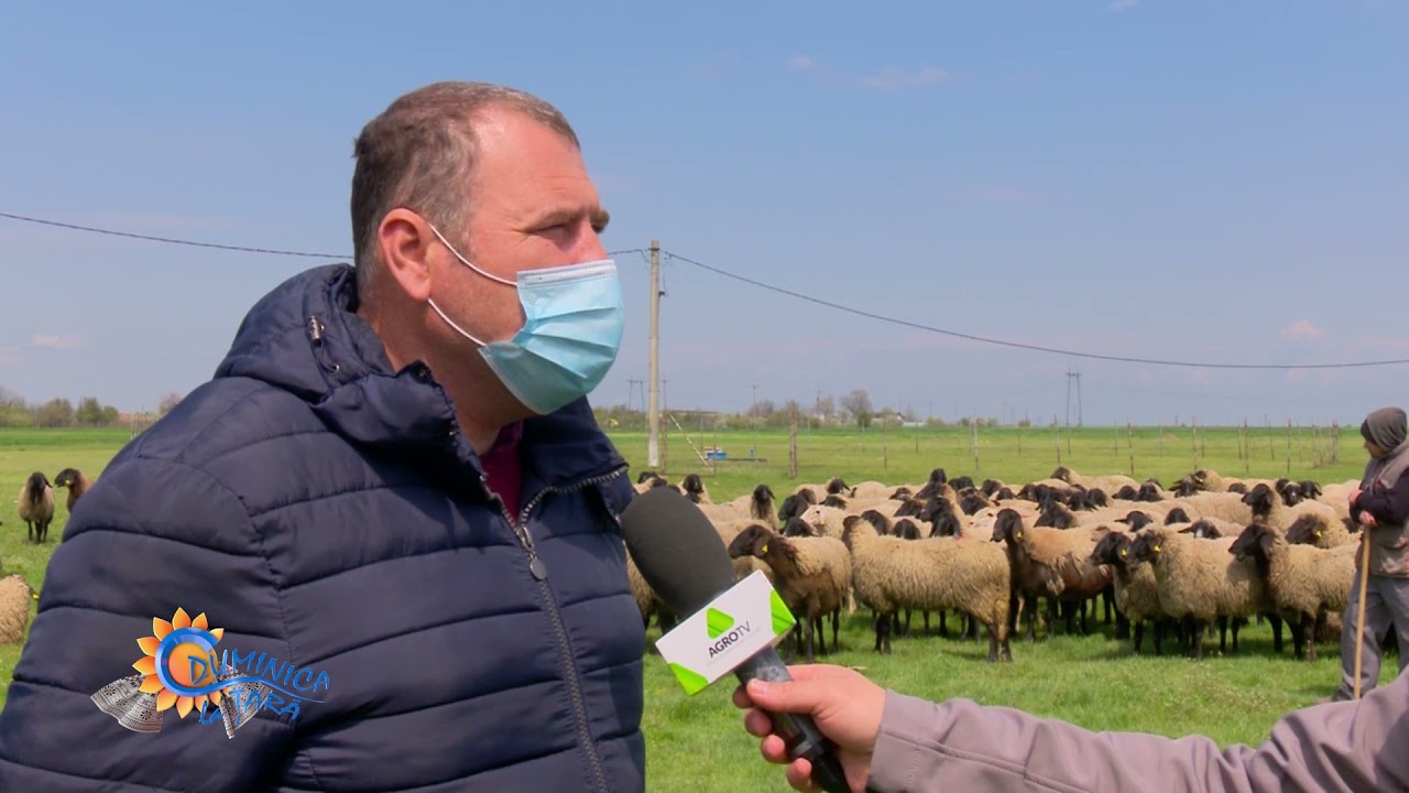 Duminica la țară în comuna Dobrotești, jud. Teleorman | 16.05.2021, P3