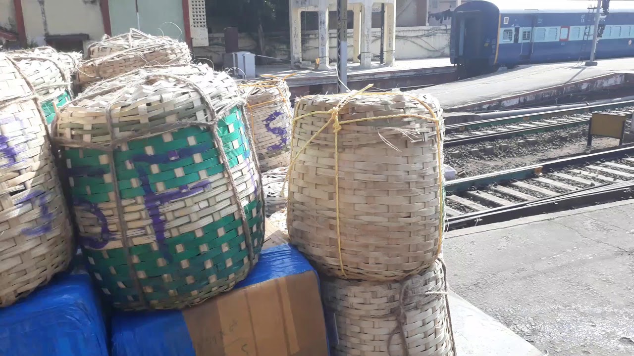 Live Mud crab or Mangrove crab(Scylla Serrata) exporting routes from India-Video-2