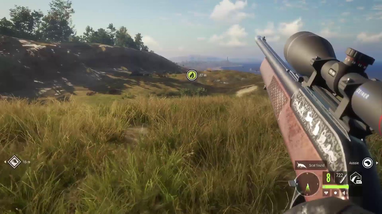 Great One Pheasant on the map and only 50 kills OMG!!!!|theHunterCOTW