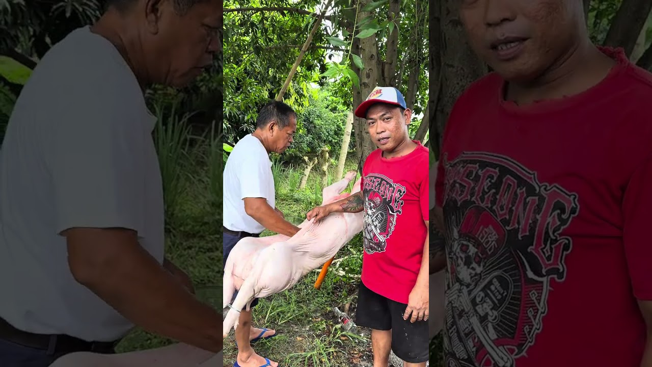 Happy 13k Followers! Litsonan na😋