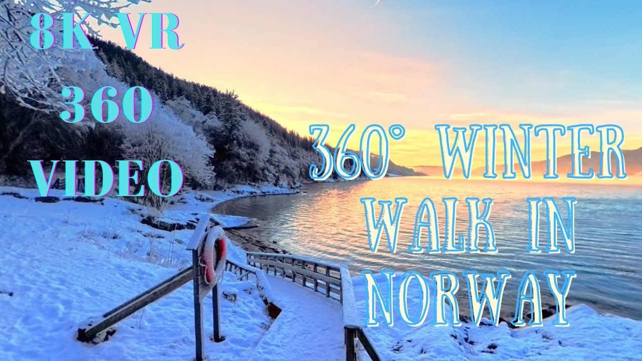 360° Winter Walk in Norway | Snowy Forest to Rocky Beach | VR Experience