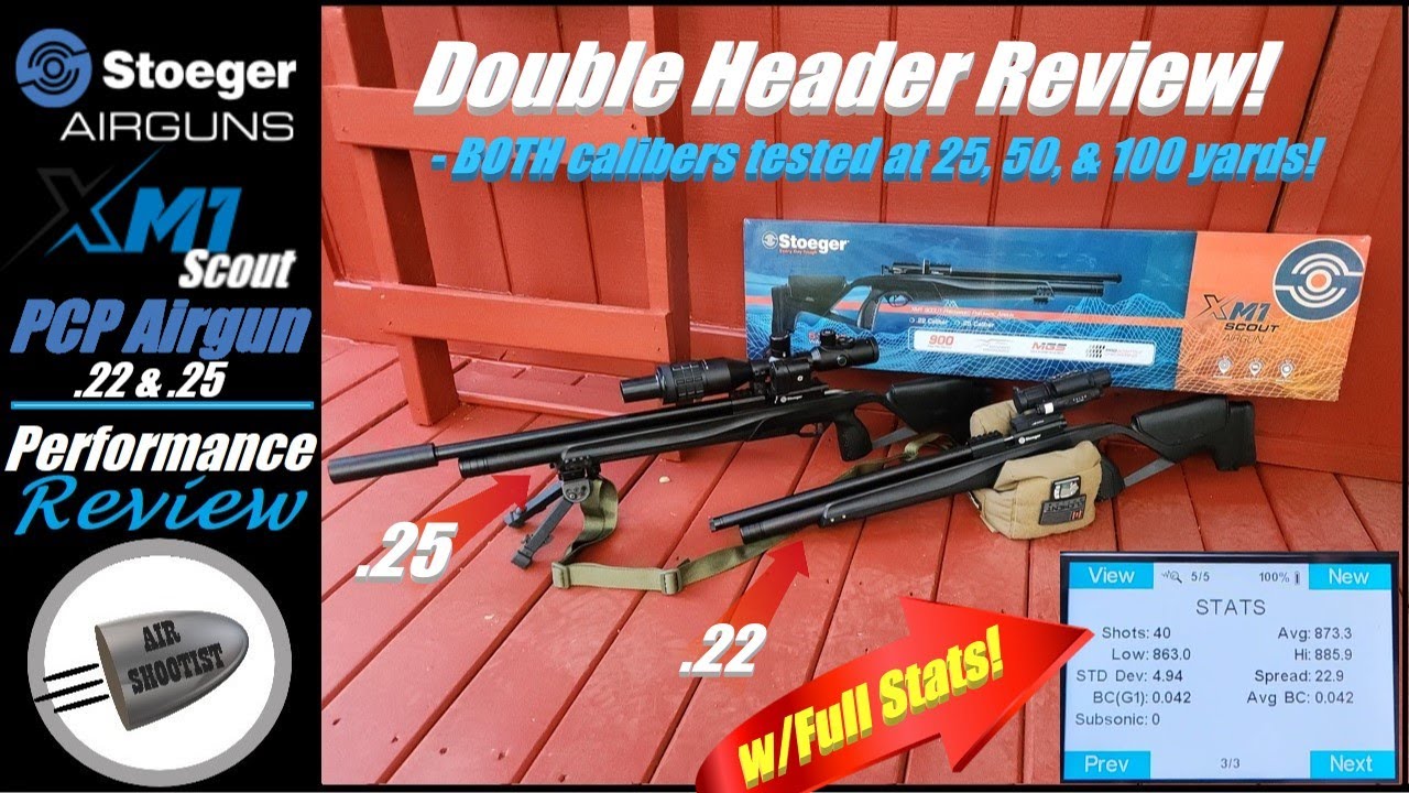 Stoeger XM1 Scout .22 & .25 Airgun Performance Review - Shot at 25, 50, & 100 yards! Budget Gun Win!