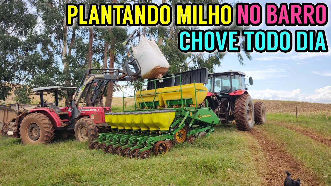 Plantando MILHO safrinha para silagem (Plantando com chuva)