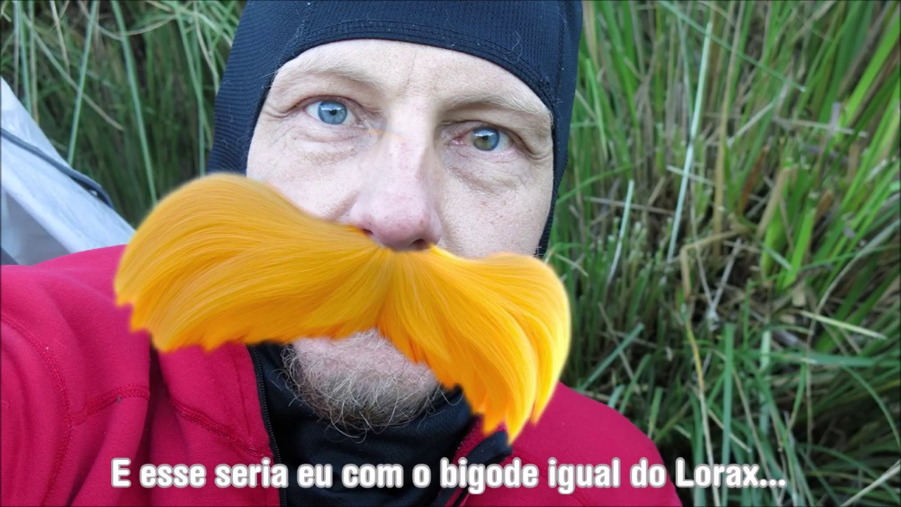 Filme O Lorax, calor, &aacute;rvores, meio-ambiente, mudas, reclama&ccedil;&otilde;es e atitude