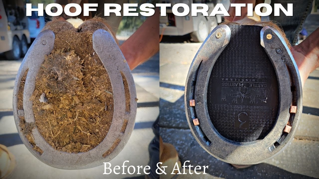 Very Satisfying - Hoof Restoration - Farrier ASMR