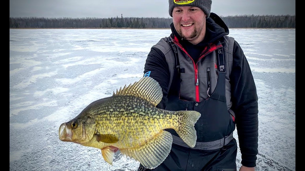 Early Ice Panfish Tips & Strategies